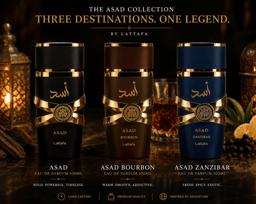 The Asad Reserve — Lion's Collection by Qamare — Authentic Arabic Fragrance | Qamare